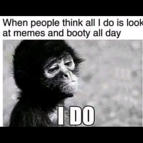 Meet your Posher, Leonardo - Picture 1 of 1